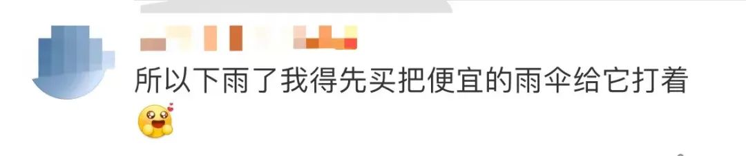 古驰和adidas联名雨伞,adidasgucci联名雨伞在哪里买