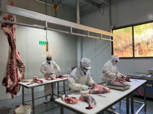 云南腾冲肉牛,腾冲养牛基地