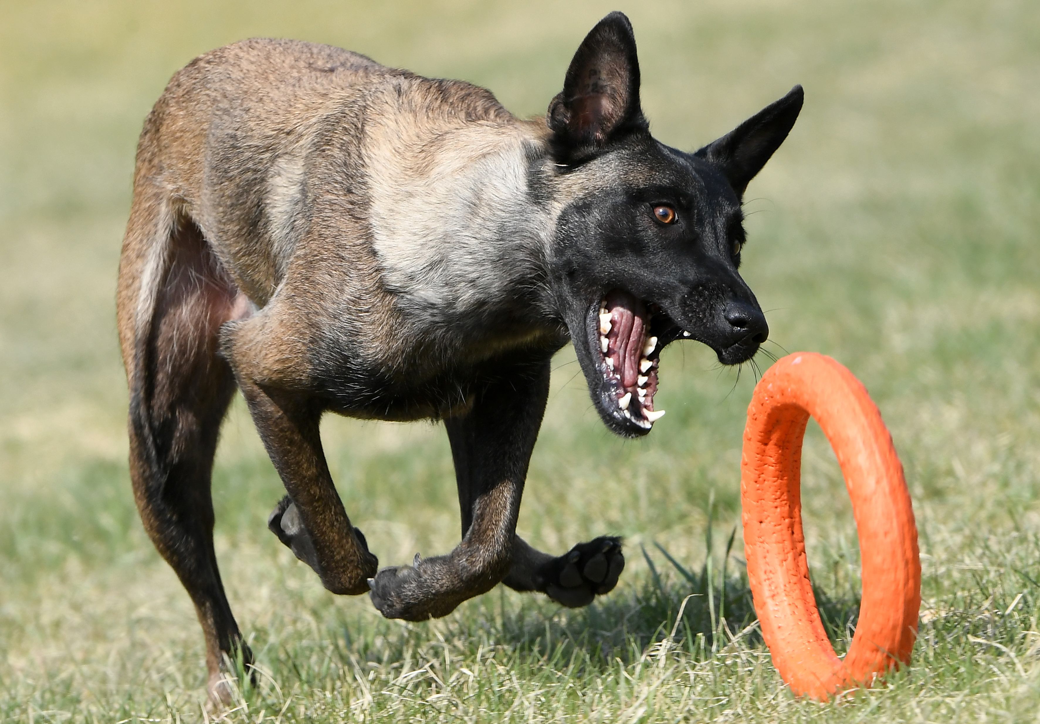 外代二线巴塞尔,外代二线