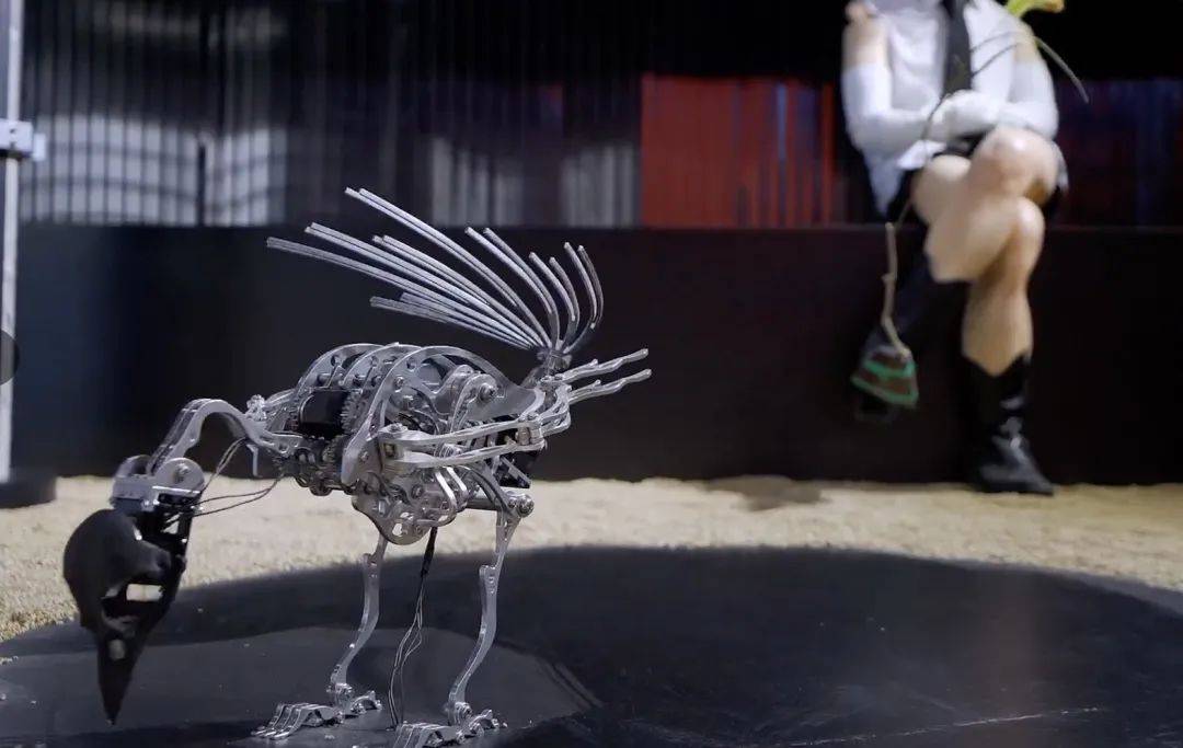 三里屯门面新主人，从来不是一家卖太阳镜的公司