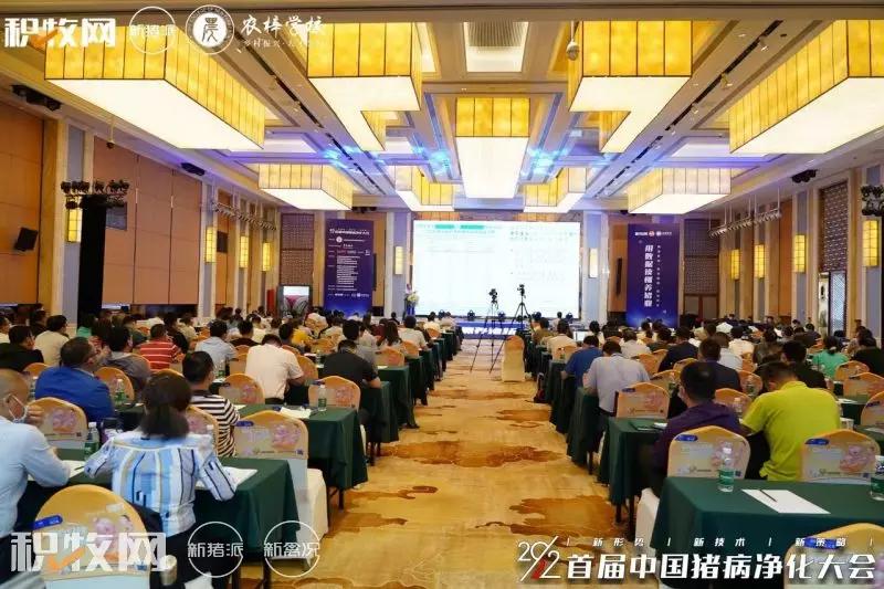 王声会：头均效益提高6376元！中芯种业蓝耳病净化体系详解