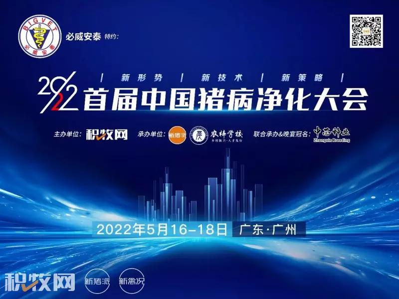 徐敏：实现安全性和免疫原性的平衡，PC株疫苗安全性极佳，可用于蓝耳病的防控和净化