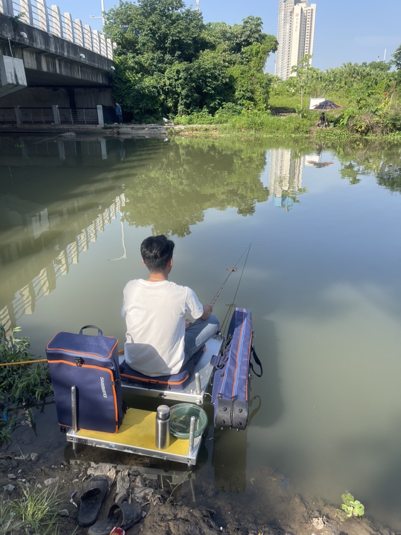 「518」小罗非垂竿自上，清道夫碳烤“美味”眼泪流