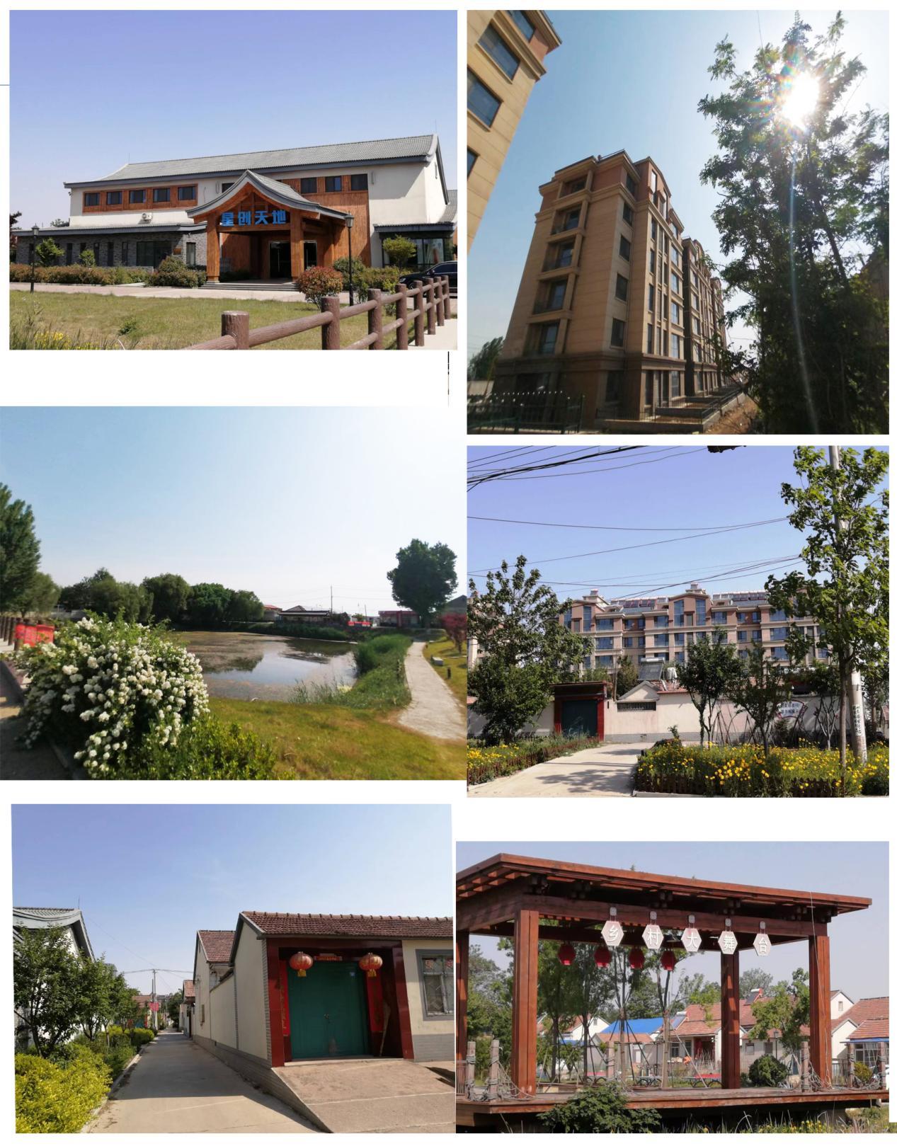 从空壳村逆袭为示范村,从贫困村到乡村蝶变