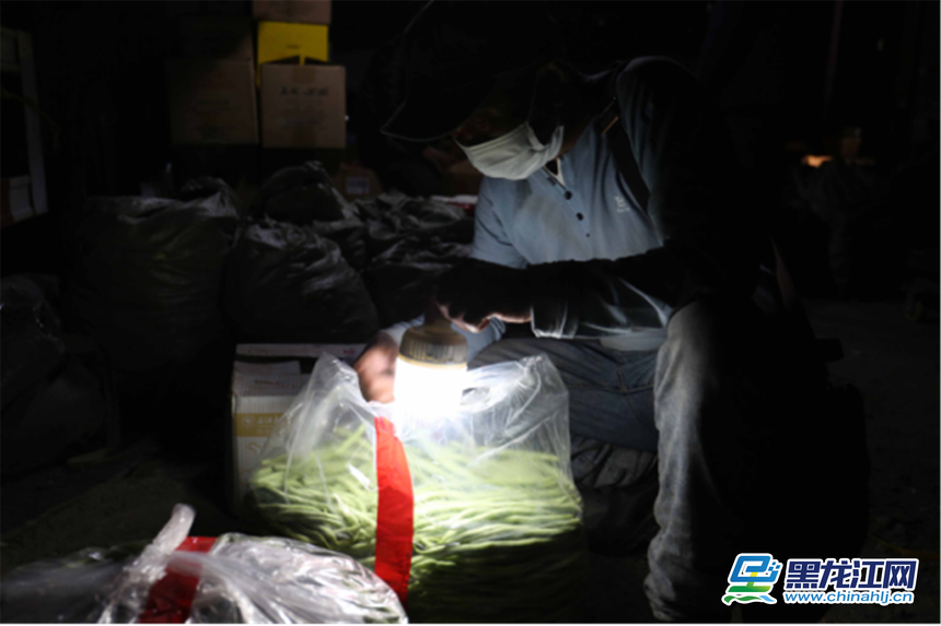 精品蔬菜批发市场图片,哈尔滨薛家蔬菜批发市场