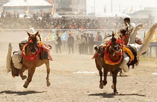 非遗赛马项目,少数民族赛马纯血马