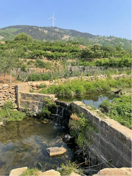 “拉面哥”这一年：失意者聚集“光明顶”，掏腰包给村里老人买保险，推广农产品卖货直播亏5万