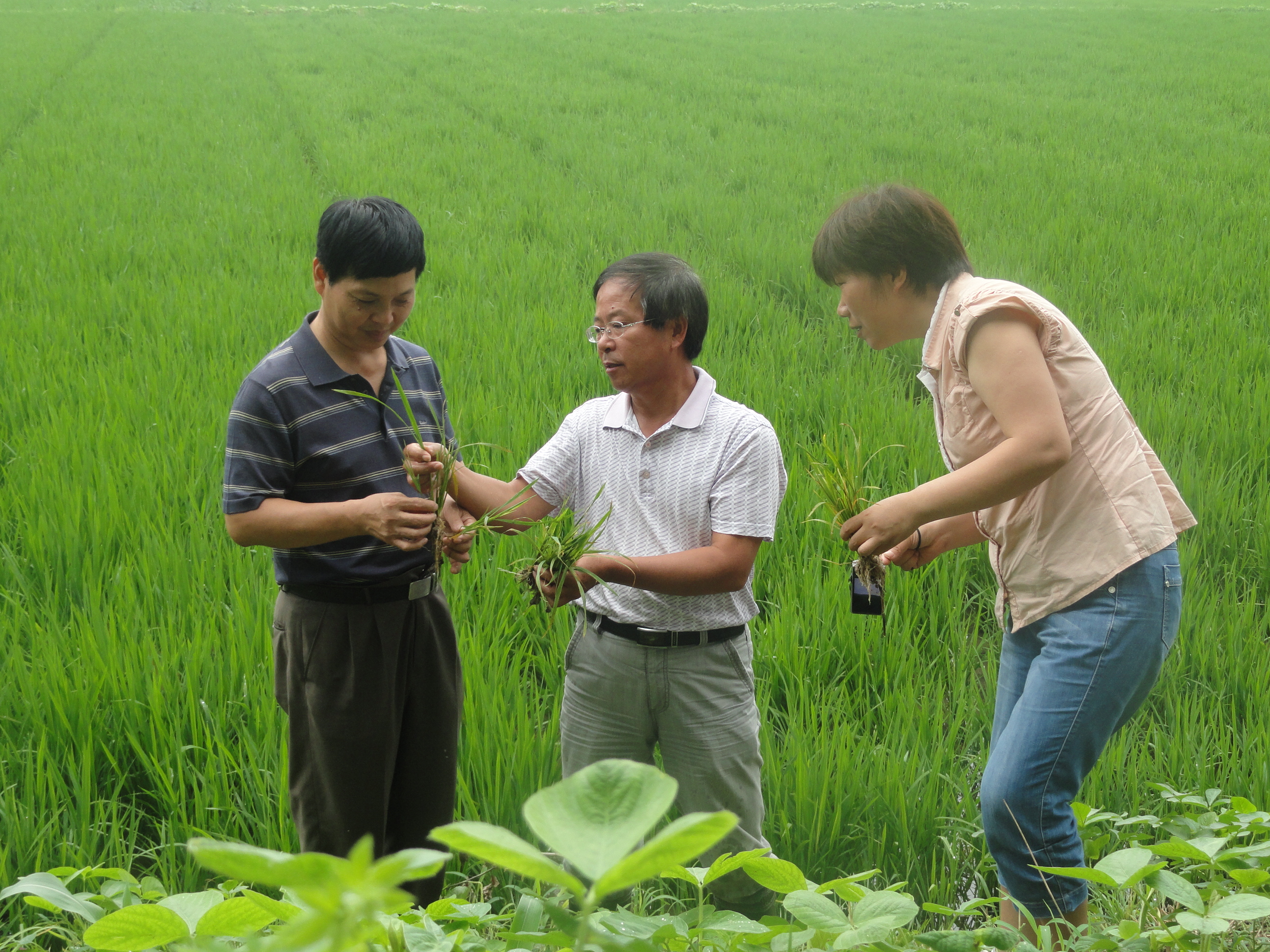 从吃饱到吃好再到吃出健康,从吃饱到吃好的东西