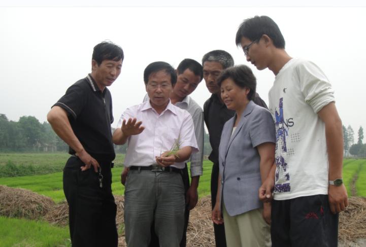 从吃饱到吃好再到吃出健康,从吃饱到吃好的东西