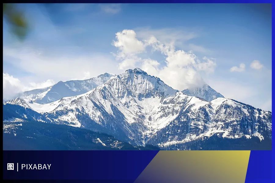 起底张核子：豪车、别墅聚会和他的核酸产业