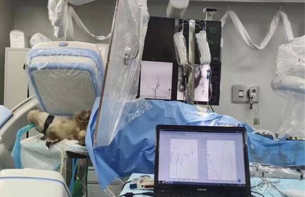 华为mate50渲染图曝出,曝华为mate50渲染图价格