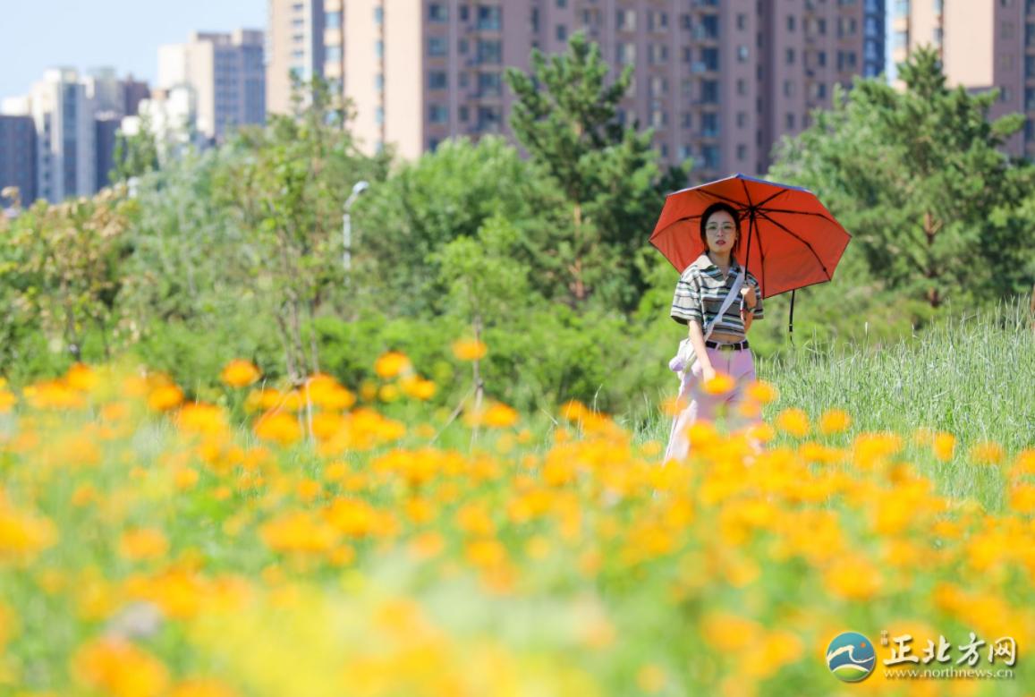 漫步城中,漫步草原美景