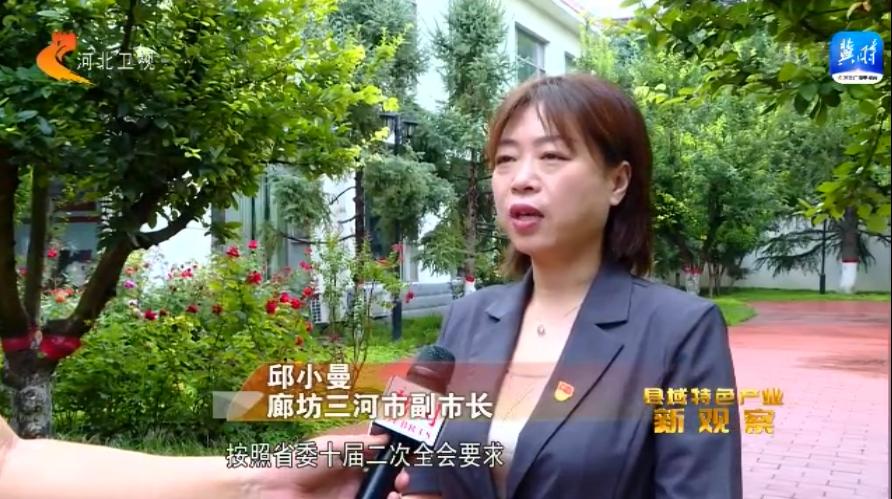 县域特色产业新观察,县域经济发展新兴产业