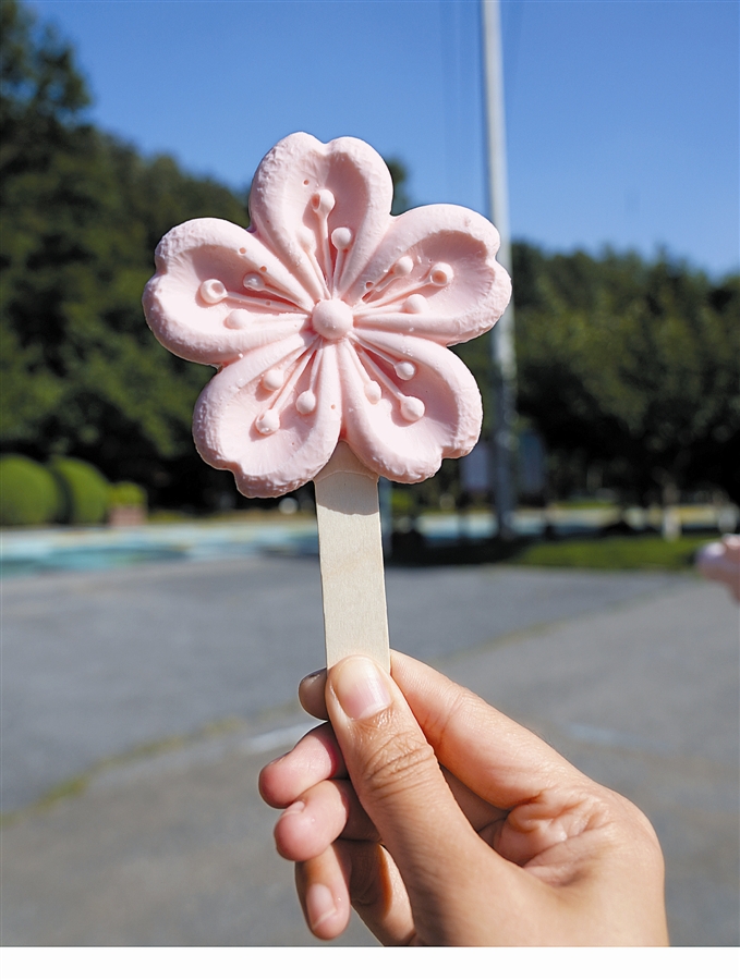 网红雪糕大揭秘,网红雪糕贵不好吃