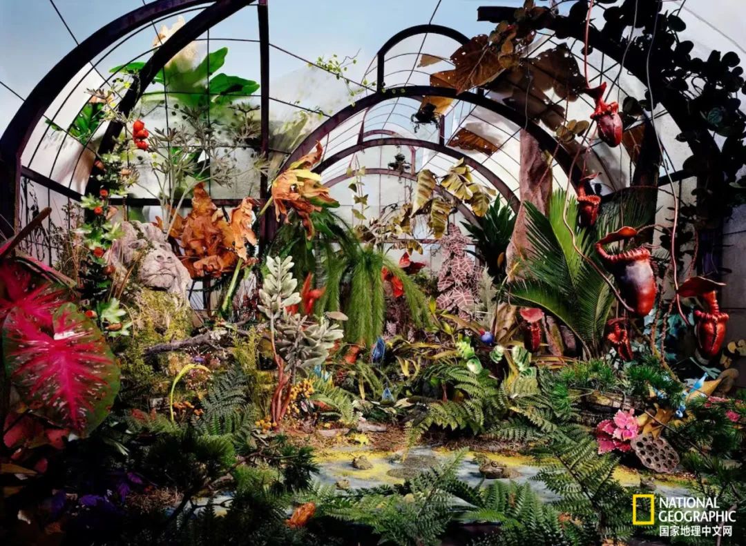 30张“最伟大的作品”