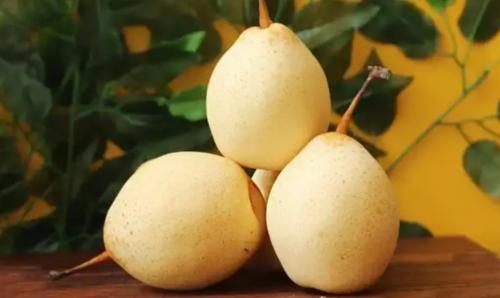 关彦斌养生说：四种水果清凉一夏