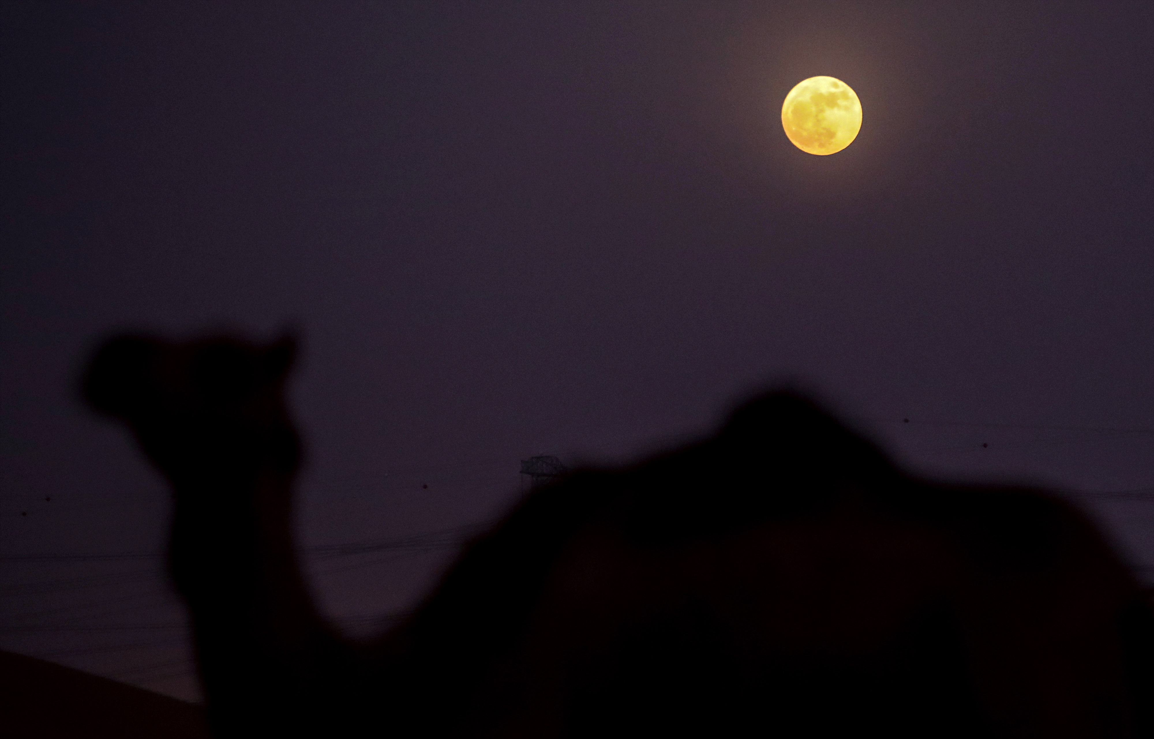 超级月亮即将现身夜空是真的吗,今年最大超级月亮将登场意味着啥