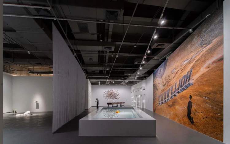 在深圳，我掉进了卡特兰精心设计的“陷阱”……