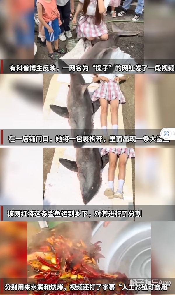 橘子晚报/偶遇朴叙俊和美女逛街；马斯克父亲与继女生二胎；