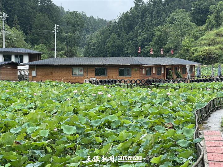 在希望的田野上巫溪,在希望的田野上铜仁职业技术学院