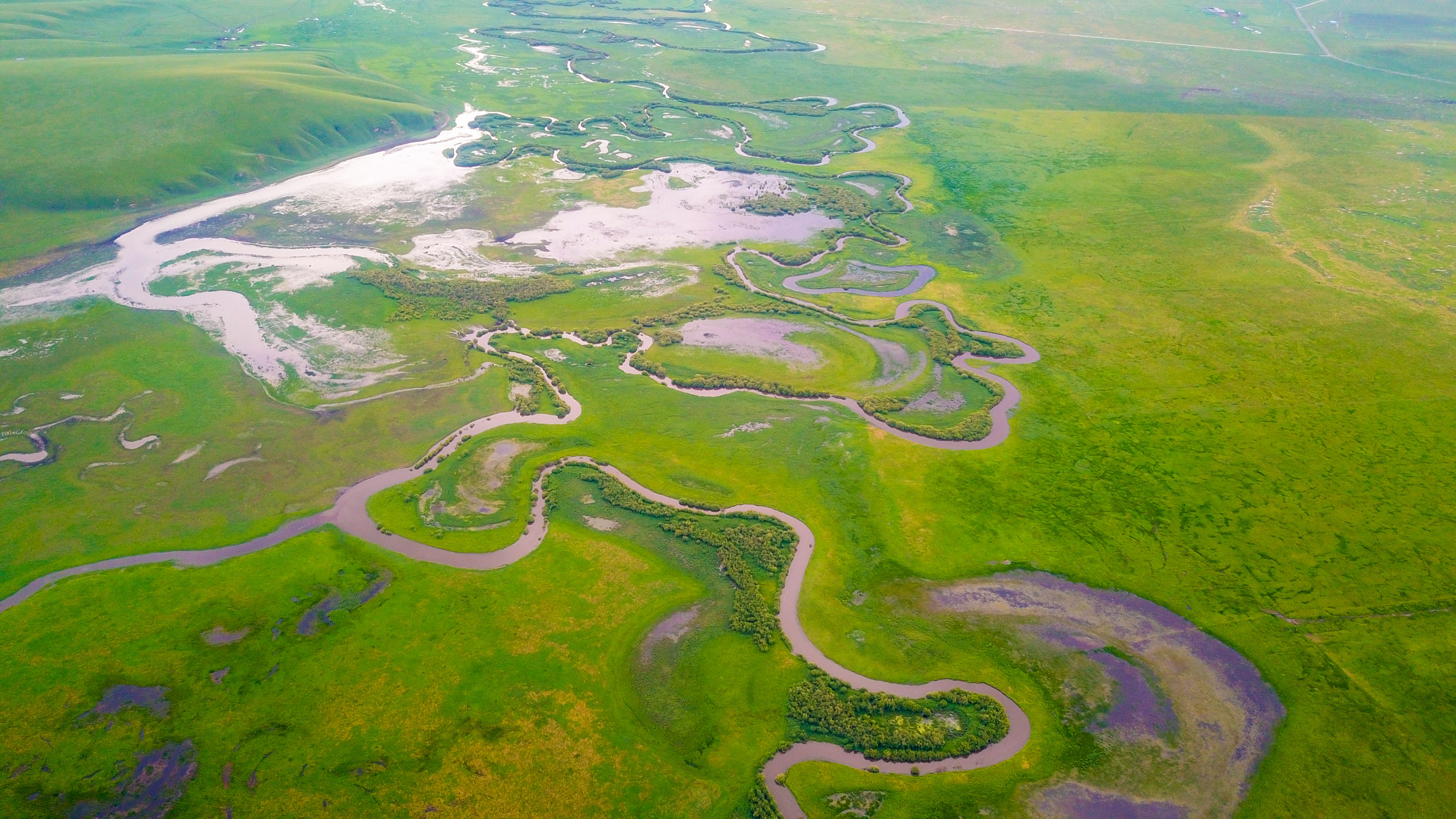 大美乌拉盖,大美乌拉盖动态谱