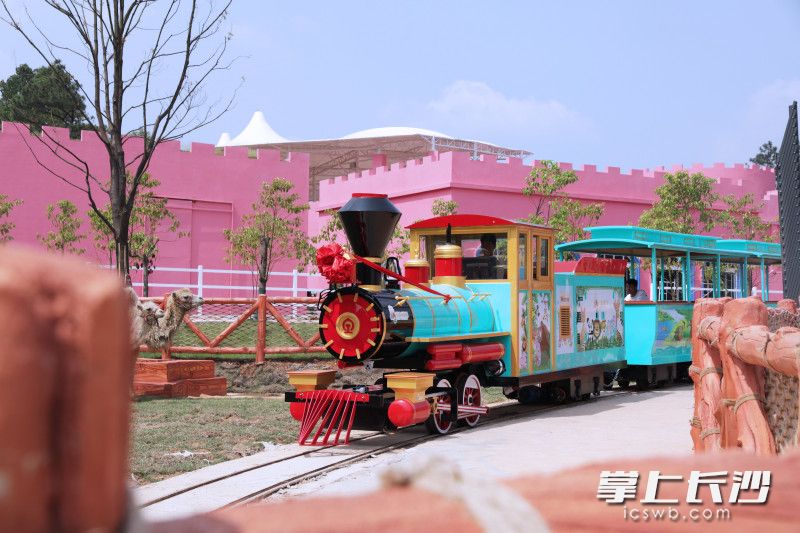 与袋鼠握手，与狮子共餐……长沙又添网红打卡点