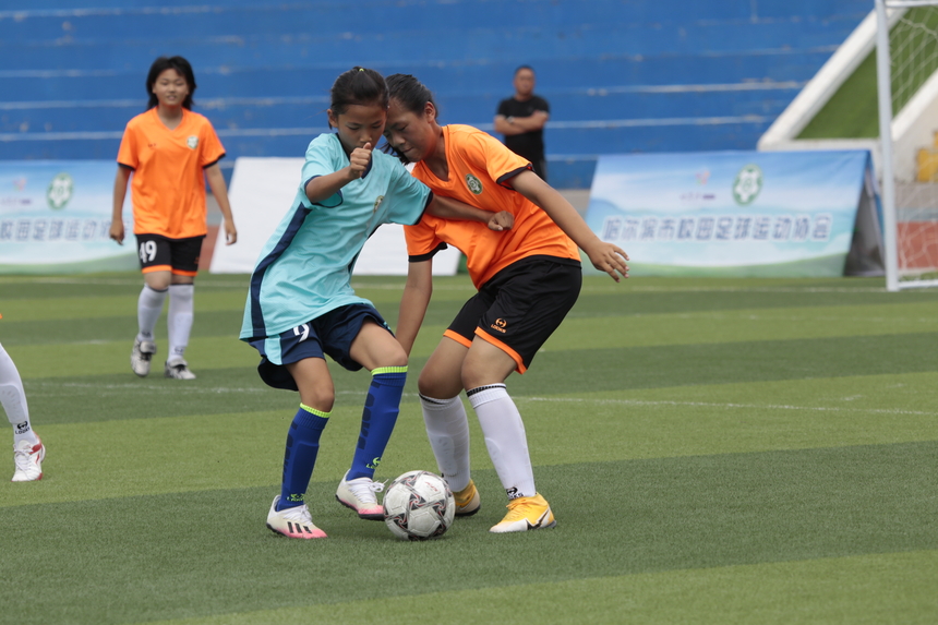 哈尔滨成人足球夏令营,哈尔滨市南岗区夏令营