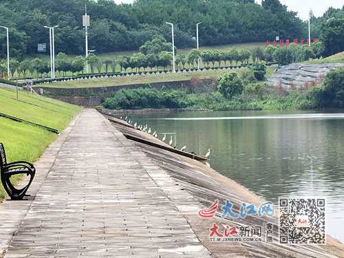 水质变绿发臭怎么办,广东河水绿色发臭