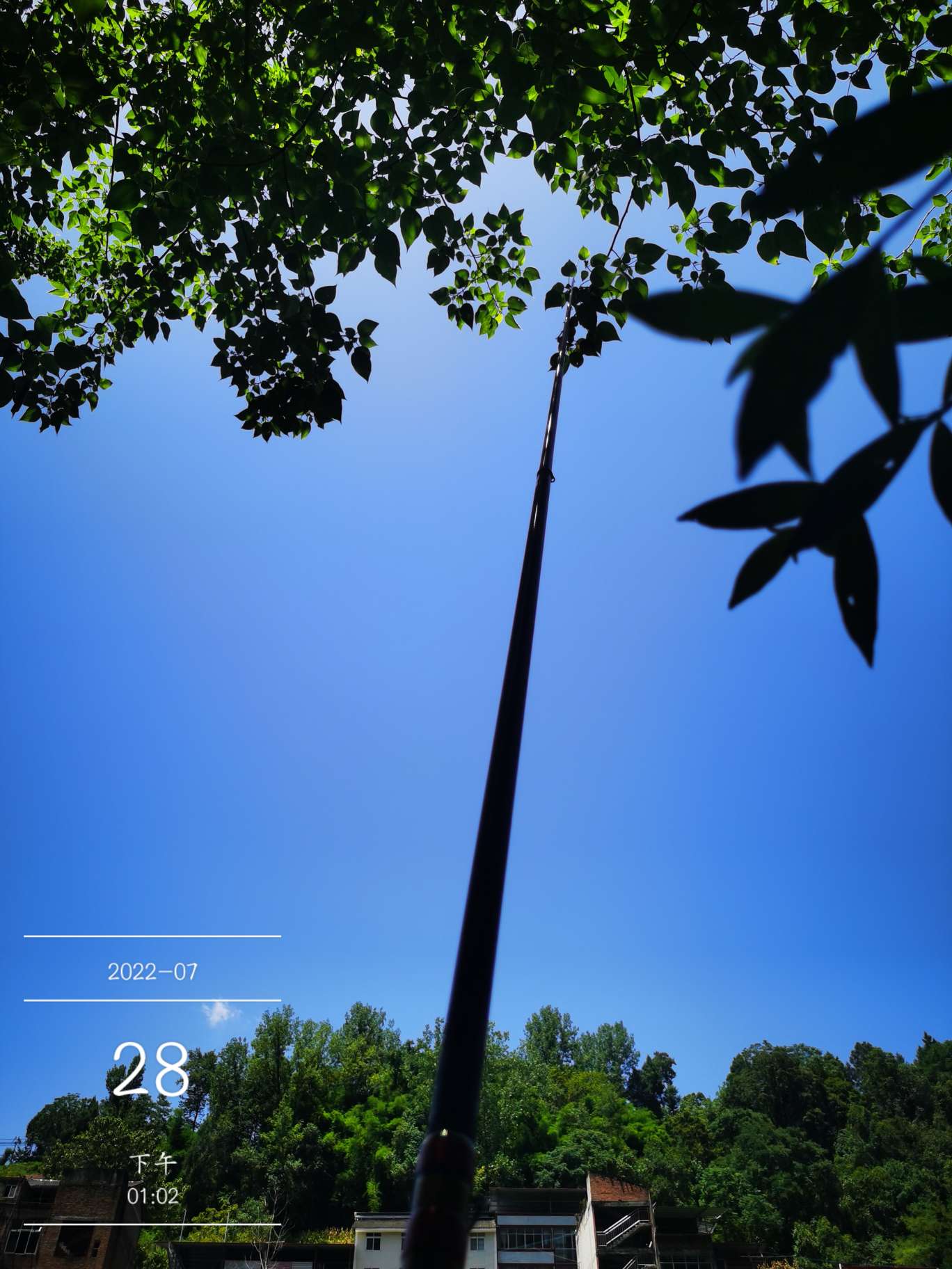 「七月鱼获」骗最憨的巨草！上最憨的洋当