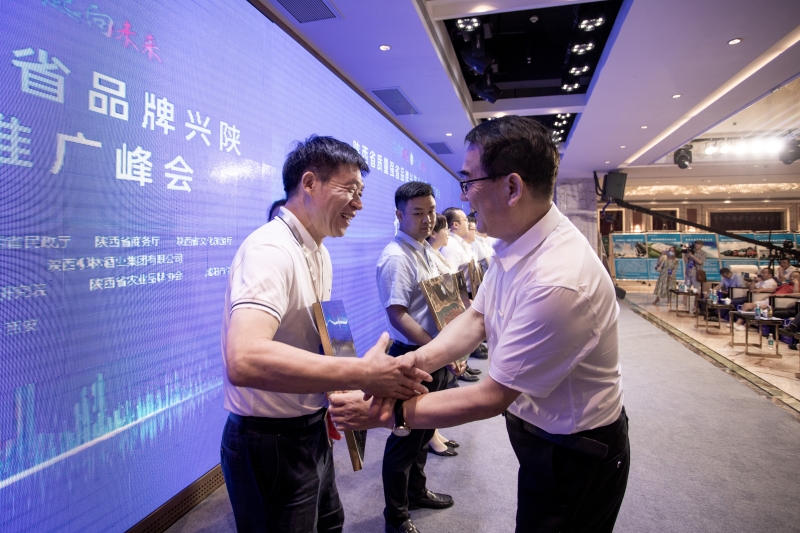 中国品牌日陕西峰会,首届陕西省品牌大会