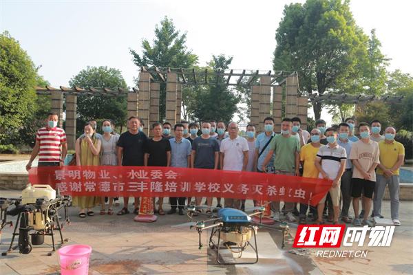 西湖：水岸惊现隐翅虫无人机助阵来灭除