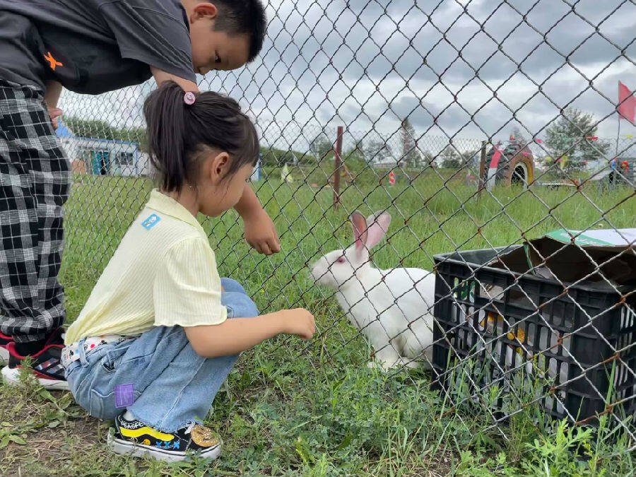 新兴农业产业,新产业新业态促进乡村振兴