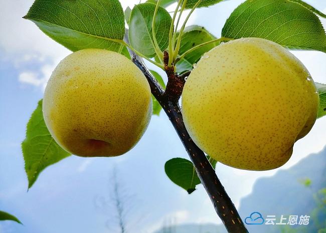 湖北恩施州宣恩县长潭河乡,宣恩县长潭河乡