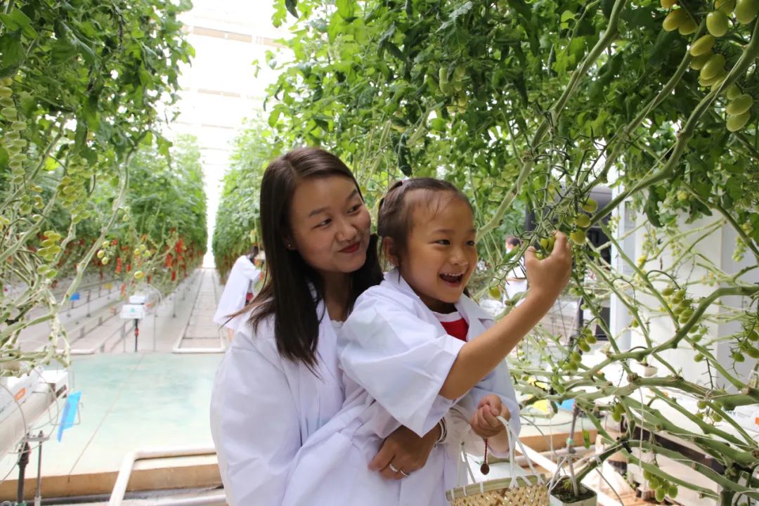 大理弥渡数字农业公园抖音团购,大理弥渡数字农业公园优惠