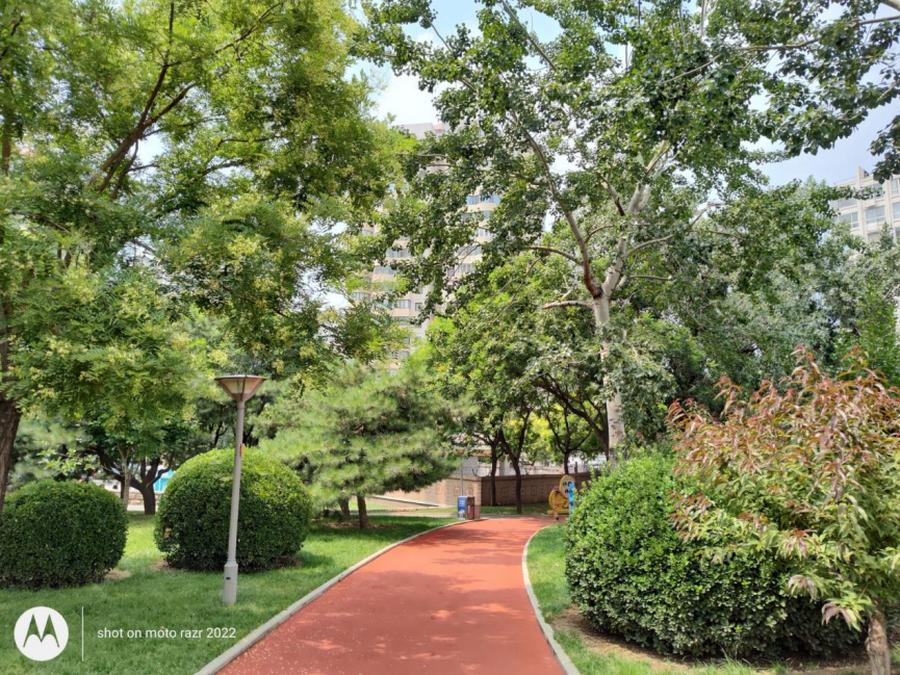 折叠屏motorazr2022款,motorazr折叠屏手机4999