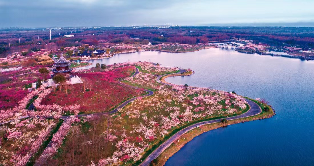 奉贤海湾旅游区与海湾镇,奉贤海湾镇和海湾旅游区