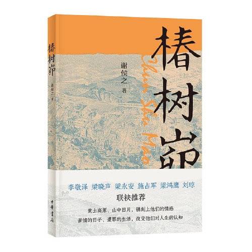 一位50后计算机博士笔下的陕北少年往事｜封面书评