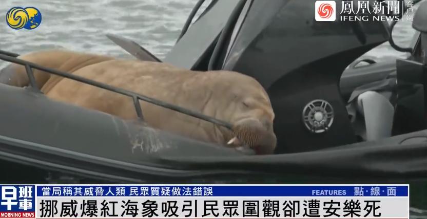 楣挎櫁鍥炲簲鏀瑰悕浜嬩欢,楣挎櫁鍥炲簲鏀瑰悕