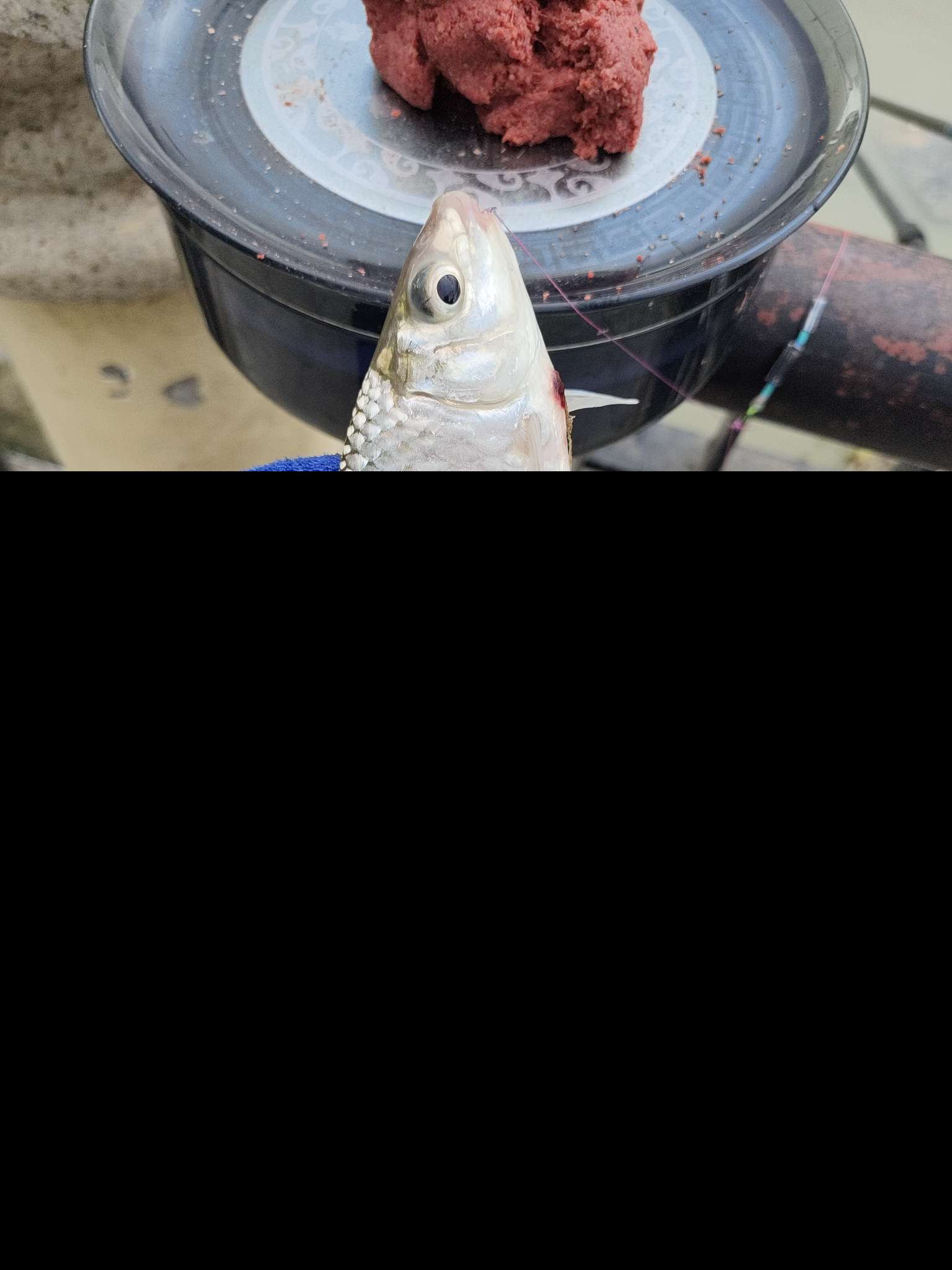 「818」致命的诱惑！美景渔获双丰收