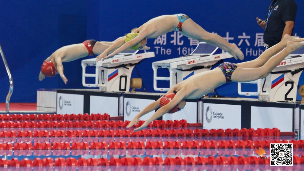 省运会游泳社会组,十六省运动会游泳比赛