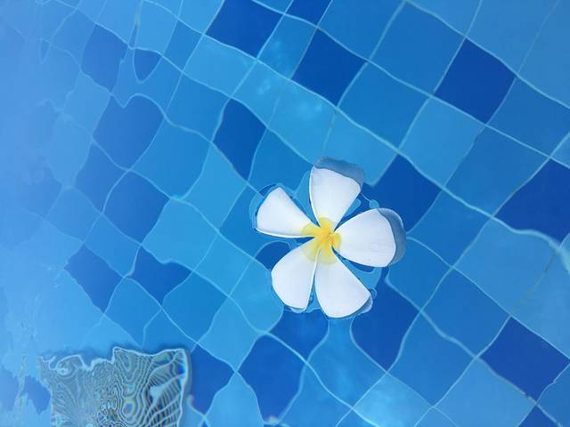 芽庄之旅姐妹情深,芽庄之旅十月