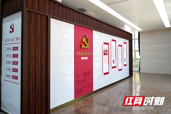 税务局党建文化墙,党旗红税务蓝党建品牌内涵