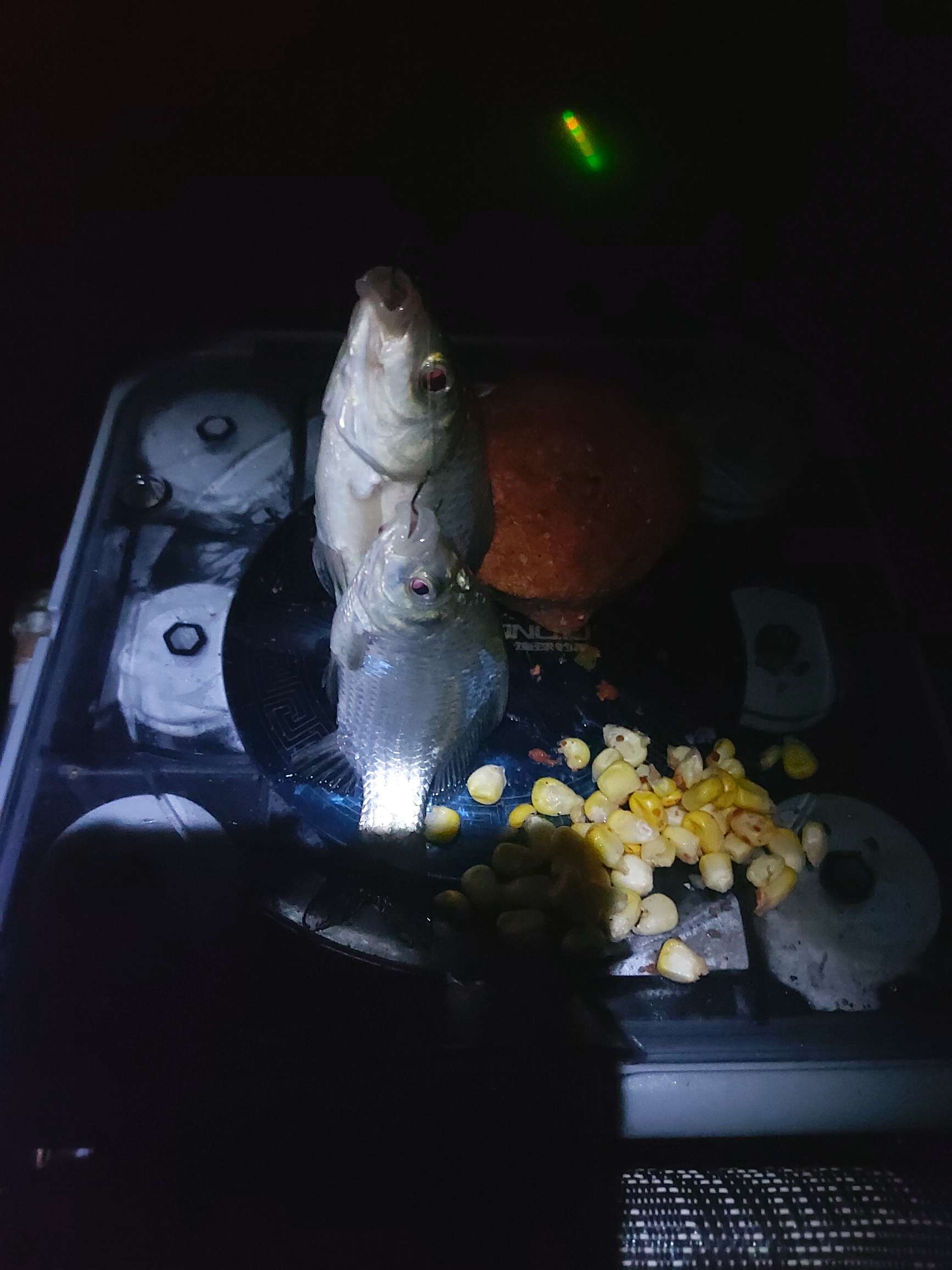 提前做“功课”，果然是不虚此行