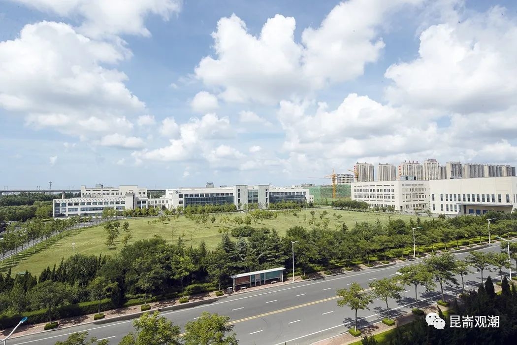 小小导尿管咋撬动10亿市场？看烟台生物医药产业的园区运营实践