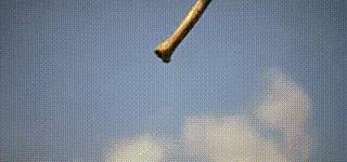 imagenetchallenge,imagenet挑战赛