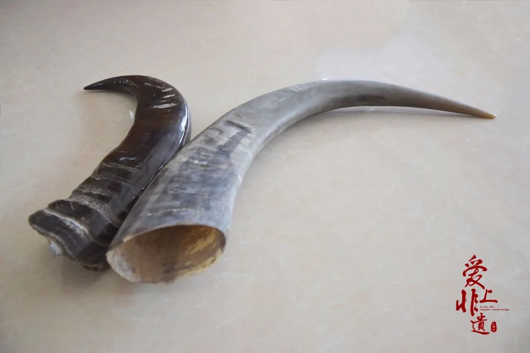 爱上非遗剪纸,爱上文旅非遗篇完整版