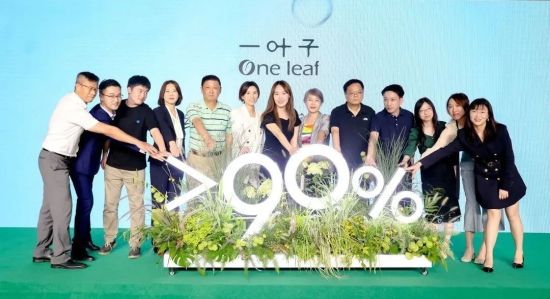 一叶子改善肌肤,从生活中发现自然之美