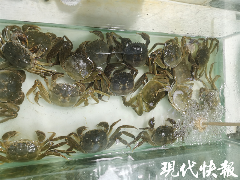 大闸蟹中秋节以后价格会低嘛,大闸蟹中秋价格