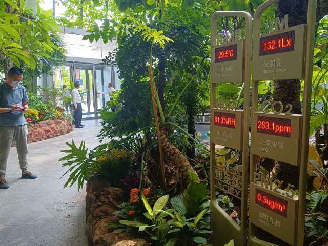 涓婃捣缁胯壊浣庣⒊琛屽姩鏂规,涓婃捣甯傝蛋缁胯壊浣庣⒊鍙戝睍妯″紡