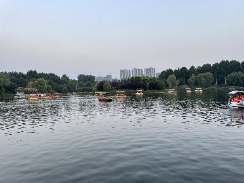 用玉米钓鱼教程,钓鱼玉米打窝技巧